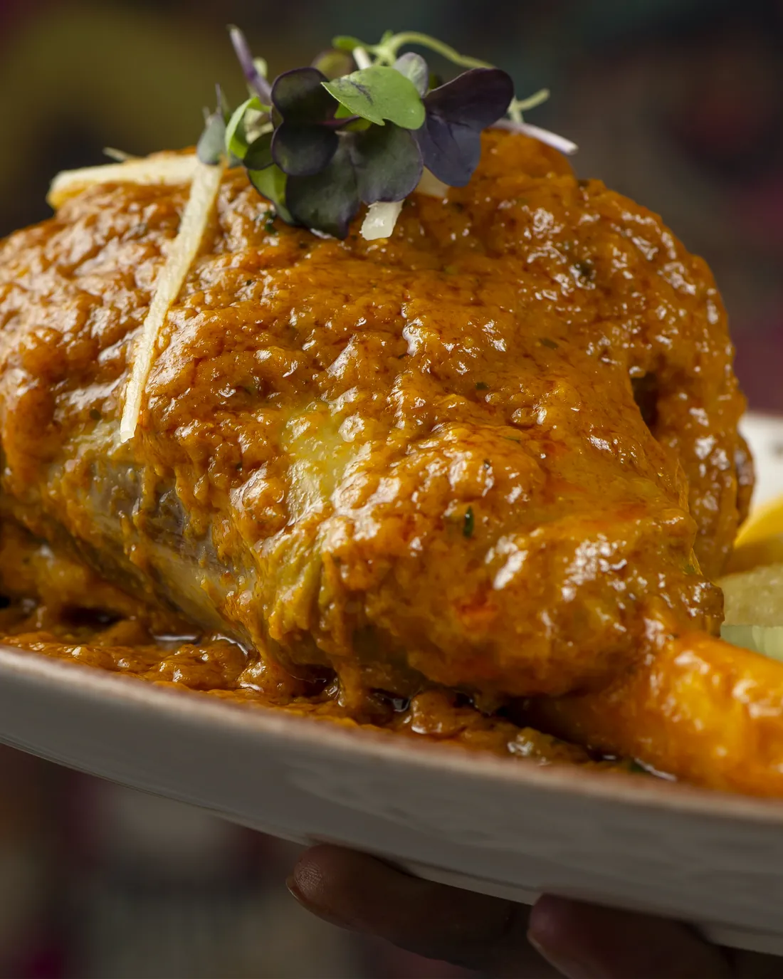Pierna de cordero (lamb shank) en su salsa, con patatas fritas y ensalada